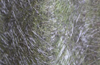 Hawk Hill fibreglass roof work